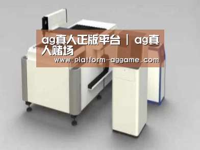 产品名称十五