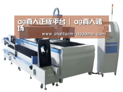 产品名称十三