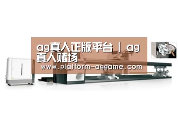 案例展示五