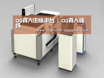 产品名称十四