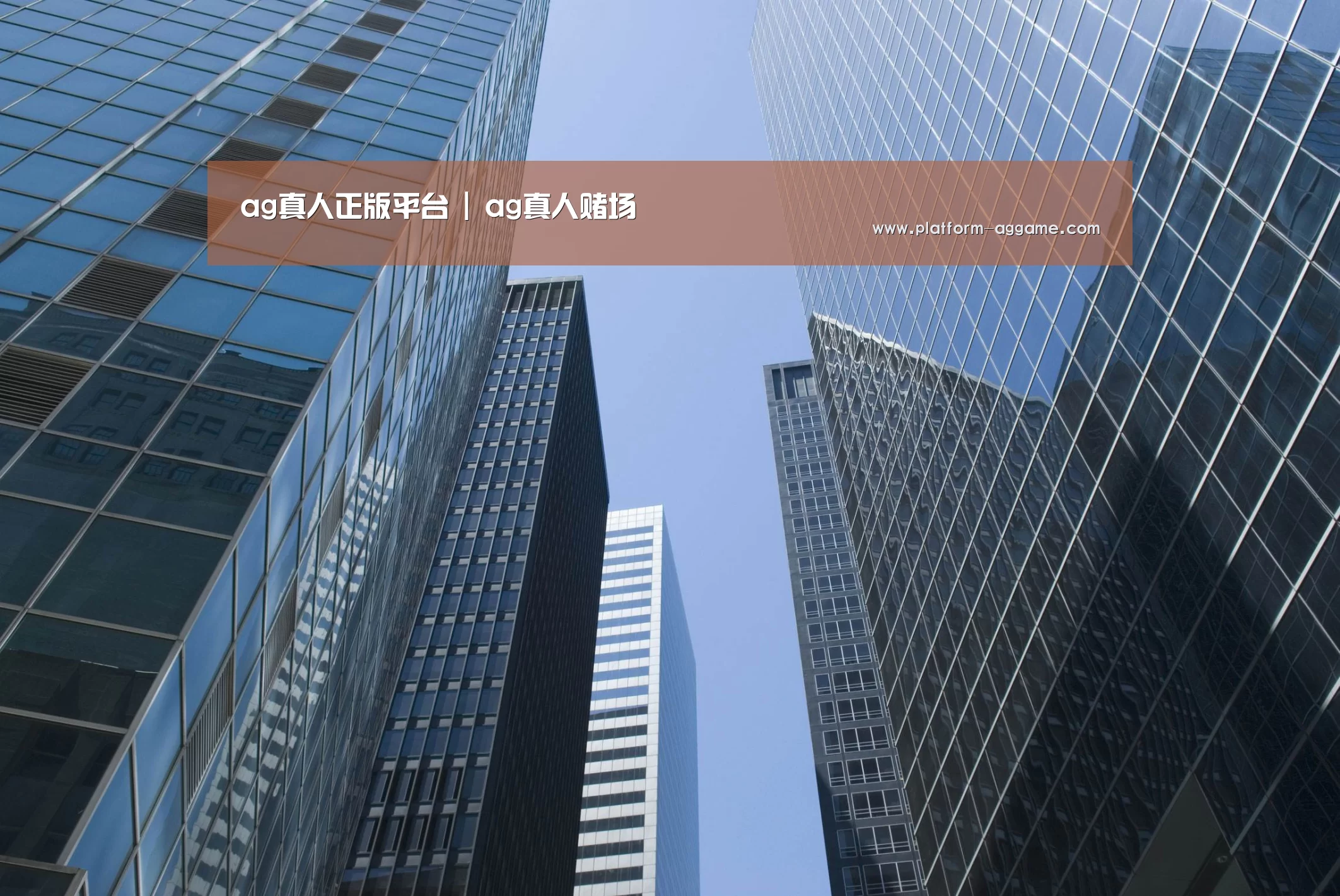 AG平台公司简介 