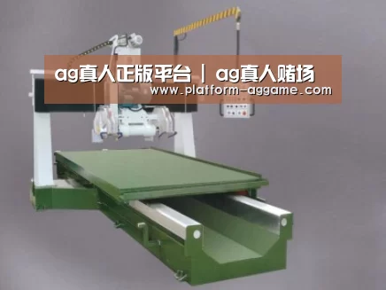 产品名称十