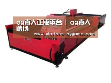 产品名称十一