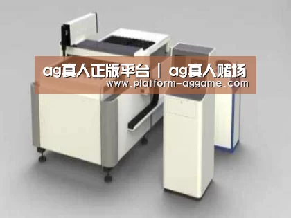 产品名称十三