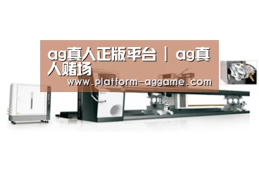 视频展示一