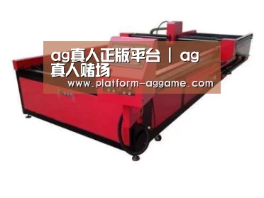 产品名称十一