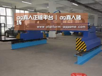 产品名称二十