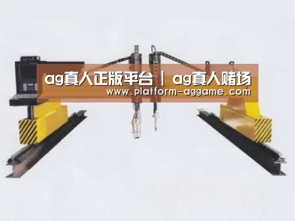 产品名称十九