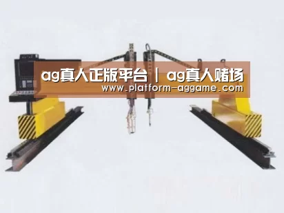 产品名称十九
