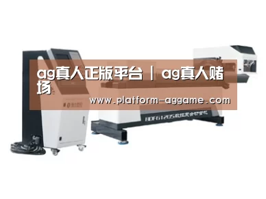 案例展示三