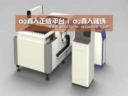 产品名称十五