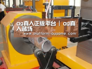 产品名称十四