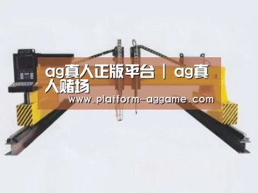 产品名称十七