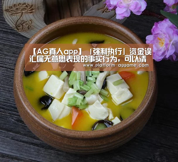 【AG真人app】「强制执行」资金误汇属无意思表现的事实行为,可以清除执行(图2) AG真人入口