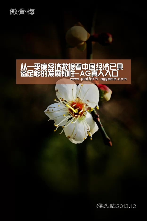 从一季度经济数据看中国经济已具备足够的发展韧性-AG真人入口(图3) AG真人app