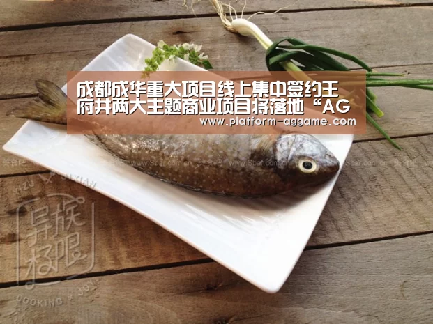 成都成华重大项目线上集中签约王府井两大主题商业项目将落地“AG真人入口”(图3) AG真人入口