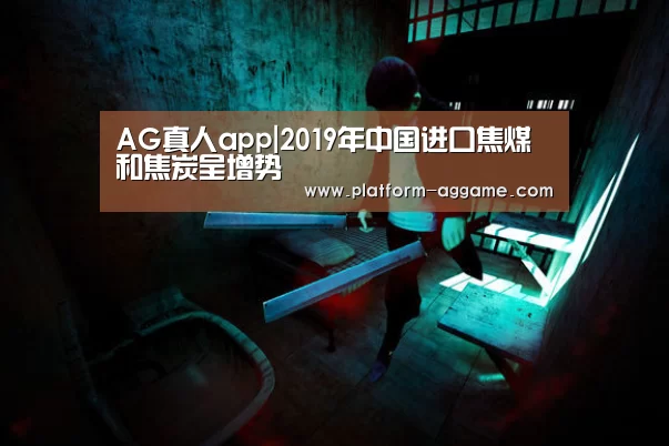 AG真人app|2019年中国进口焦煤和焦炭呈增势(图2) AG真人下载
