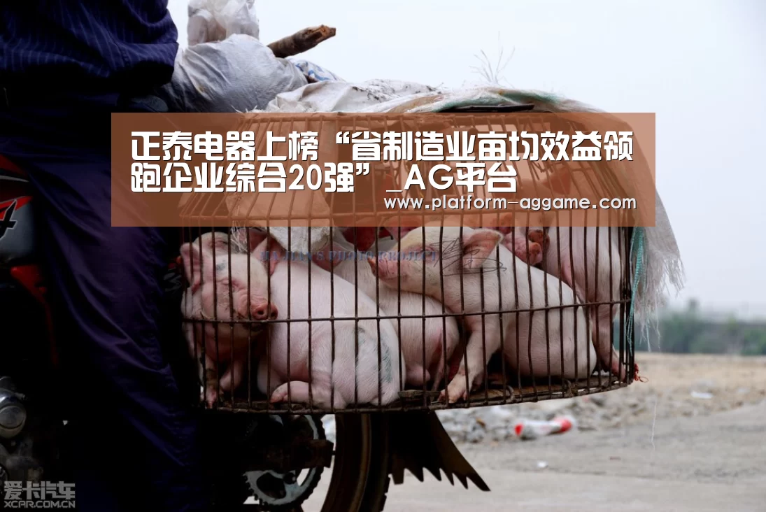 AG真人入口