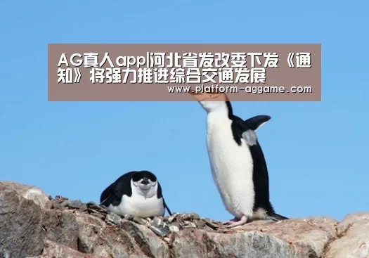 AG真人app|河北省发改委下发《通知》将强力推进综合交通发展