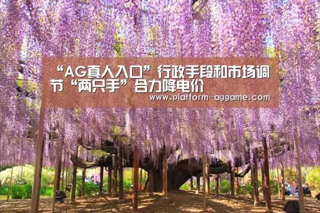 AG真人入口