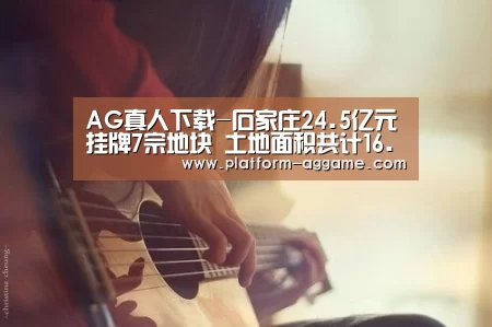 AG真人下载-石家庄24.5亿元挂牌7宗