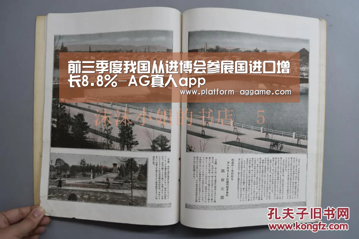 前三季度我国从进博会参展国进口增长8.8%-AG真人app(图1) AG平台