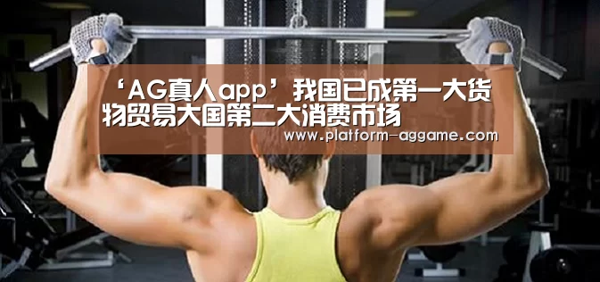 ‘AG真人app’我国已成第一大货物贸易大国第二大消费市场(图3) AG真人app