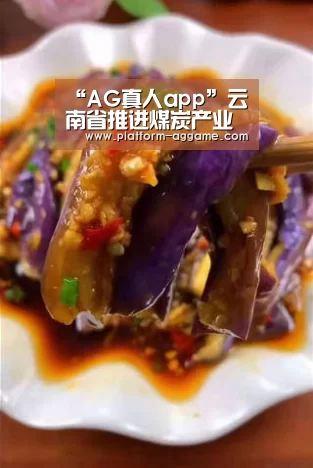 “AG真人app”云南省推进煤炭产业高质量发展三年行动计划出炉(图4) AG真人app