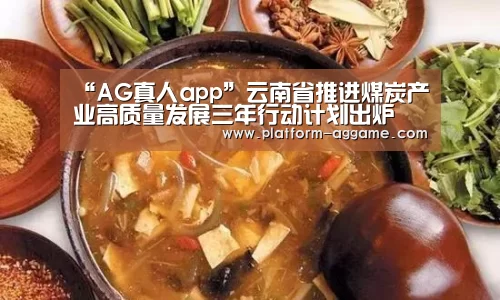 “AG真人app”云南省推进煤炭产业高质量发展三年行动计划出炉(图1) AG真人app