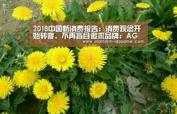 2018中国新消费报告:消费观念开始转变、不再盲目追求品牌:AG真人入口(图4) AG真人入口