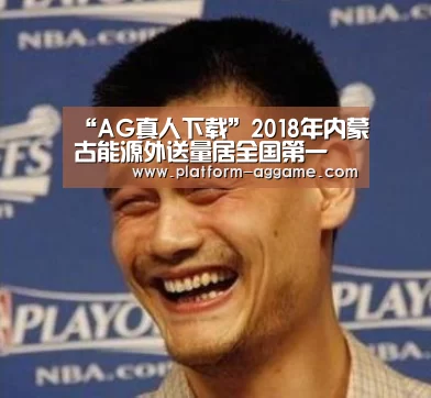 “AG真人下载”2018年内蒙古能源外送量居全国第一(图1) AG真人下载