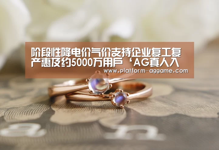 阶段性降电价气价支持企业复工复产惠及约5000万用户‘AG真人入口’(图3) AG平台