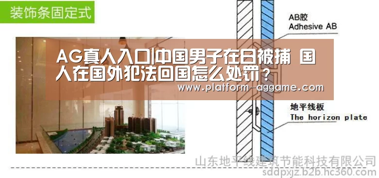 AG真人入口|中国男子在日被捕 国人在国外犯法回国怎么处罚?(图1) AG真人app