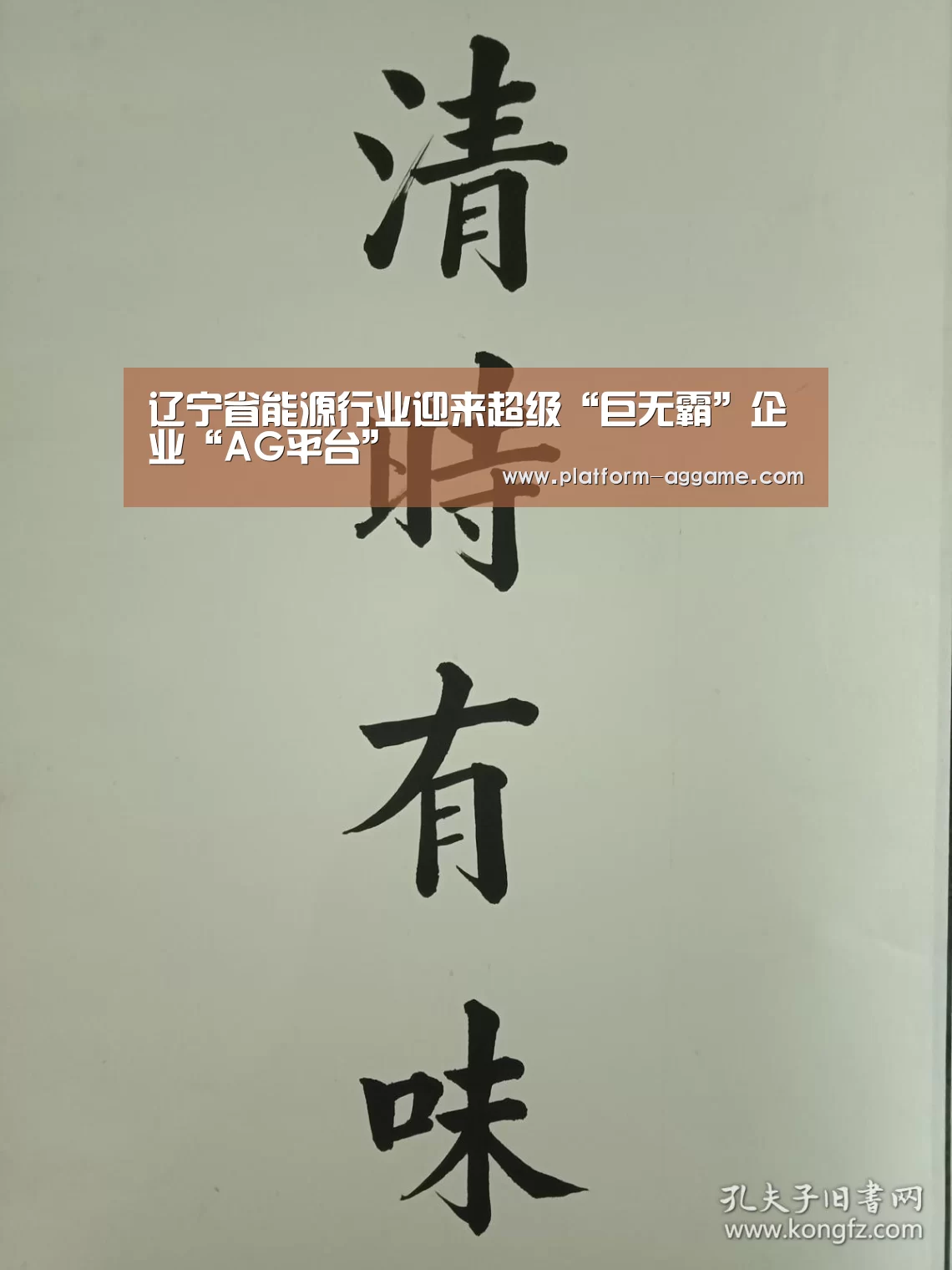 辽宁省能源行业迎来超级“巨无霸”企业“AG平台”(图1) AG真人下载