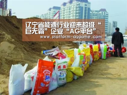 辽宁省能源行业迎来超级“巨无霸”企业“AG平台”(图3) AG真人入口