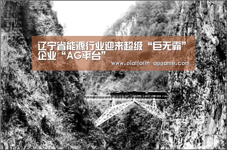 辽宁省能源行业迎来超级“巨无霸”企业“AG平台”(图4) AG真人app