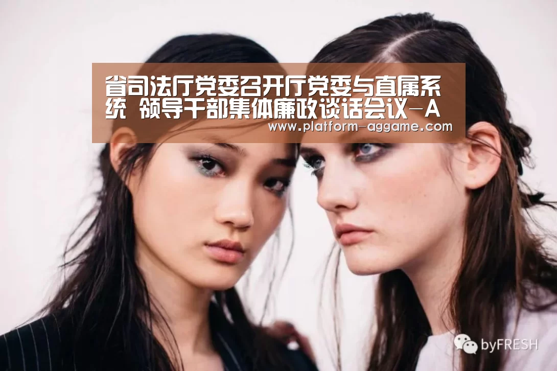 省司法厅党委召开厅党委与直属系统 领导干部集体廉政谈话会议-AG真人入口(图2) AG平台