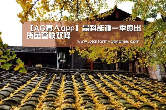 【AG真人app】晶科能源一季度出货量营收双降(图3) AG平台